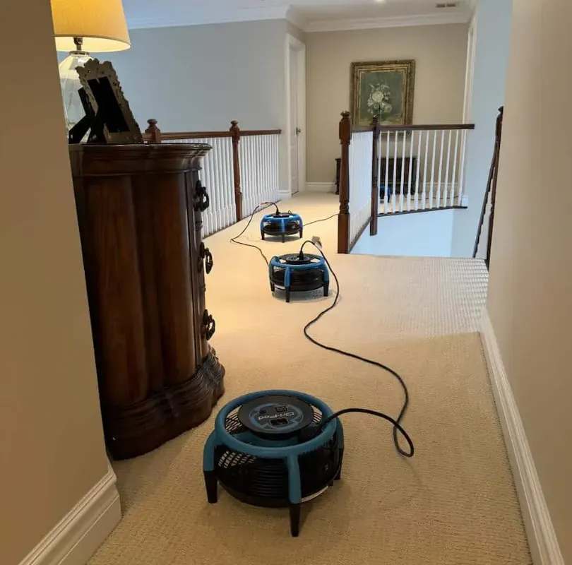 Carpeted upstairs hallway drying with air movers after cleaning