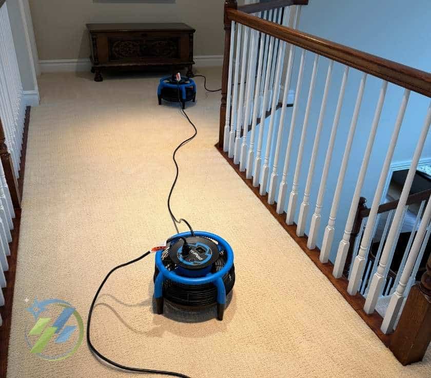 Carpet Cleaning by Pure Surface Care